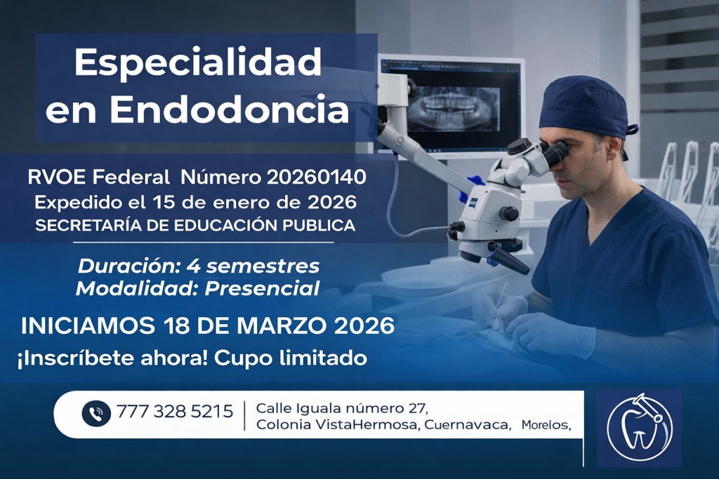 file 000000005204722fbafa0b989961ecd1 (1)